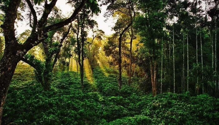Best Places to Visit in South India
