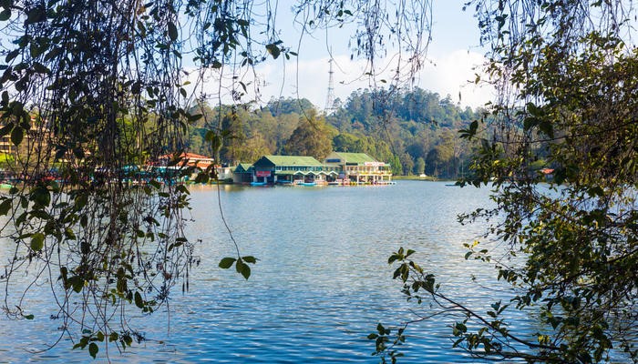 Places to Visit in Kodaikanal