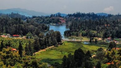 Places to Visit in Kodaikanal