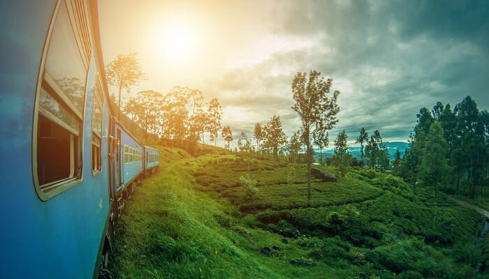 Best Places to Visit in January 2020
