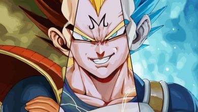 Facts About Dragon Ball Vegeta