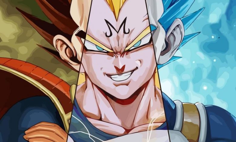 Facts About Dragon Ball Vegeta