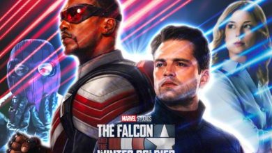 Falcon And The Winter Soldier Trailer Description