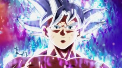 Dragon Ball Super Moro God of Destruction Before Beerus