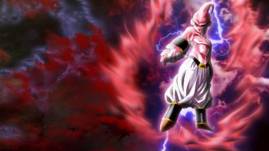 Facts About Majin Buu