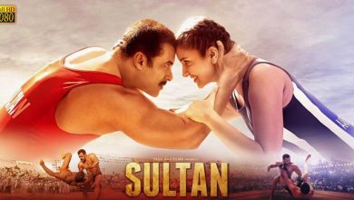 Sultan Full Movie Download in Hindi Filmymeet