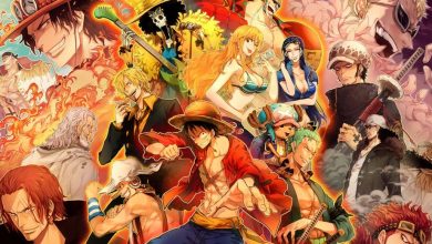 Theories Explaining The One Piece