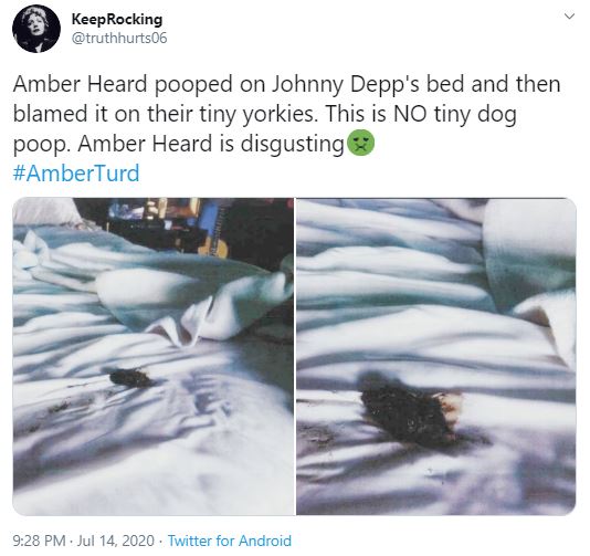 Amber Heard Pooped on Johnny Depp’s Bed 