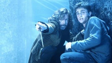 Sirius Black’s Death in Harry Potter