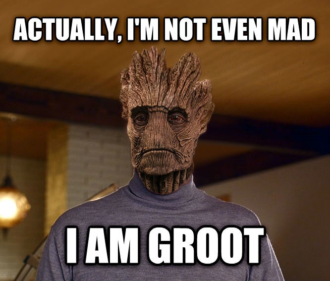 20 Amazing Memes On Groot - The Tree That Always Gives