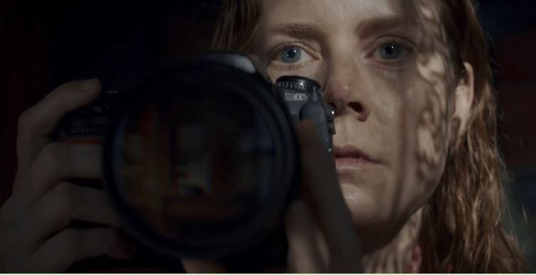 The Woman in the Window Netflix Acquire The Amy Adams Thriller Movie