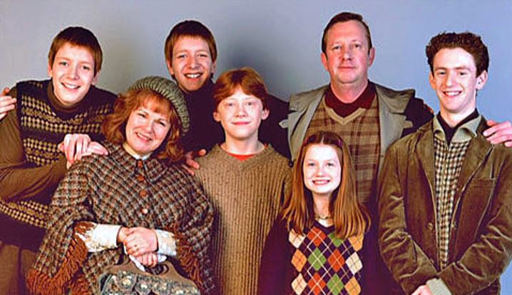 Harry Potter Characters That Were Excluded From The Movies