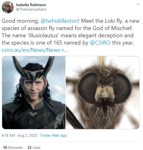 Newly Discovered Fly Species Named After Marvel Characters