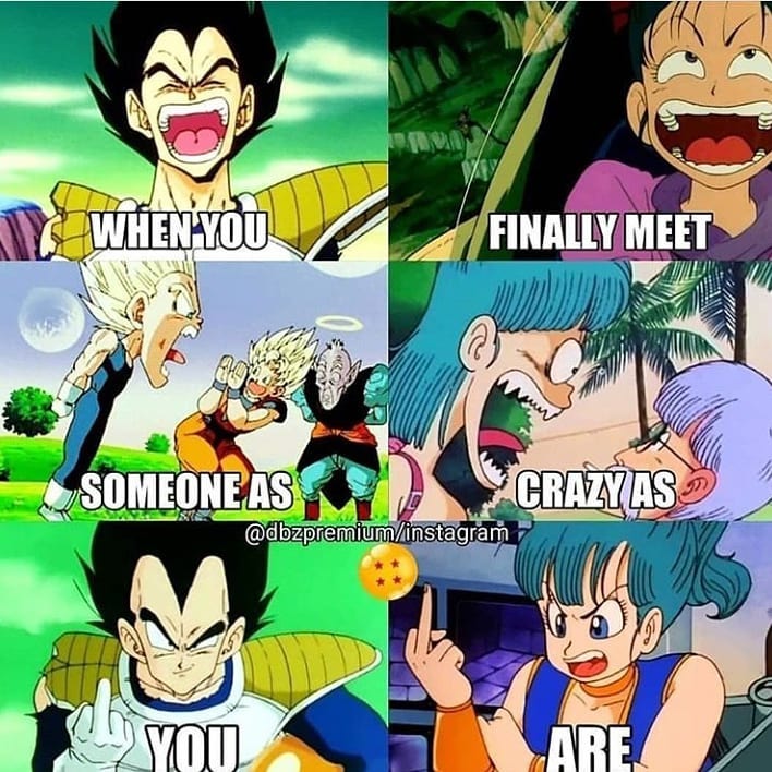 Vegeta memes