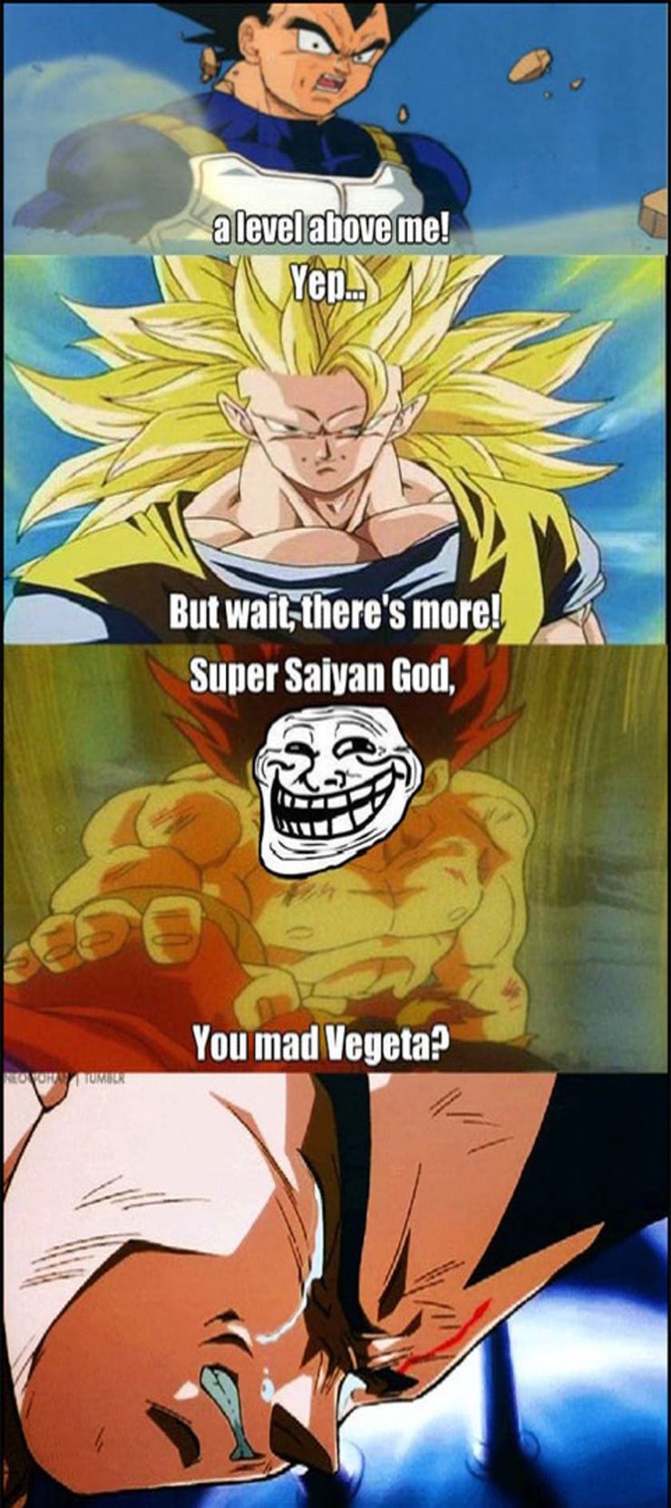 Vegeta memes