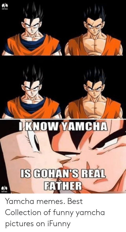 gohan memes