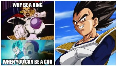 Vegeta memes