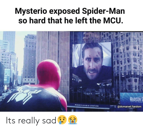 Love/Hate Relationship With MCU