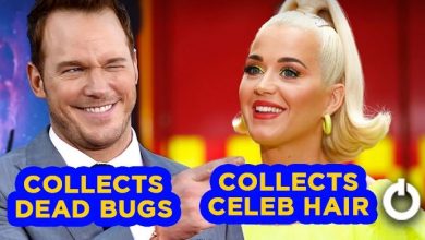Bizarre Facts About Celebs