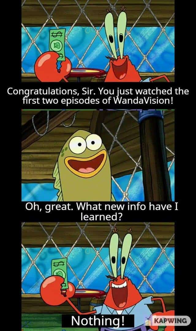 Memes After Watching WandaVision