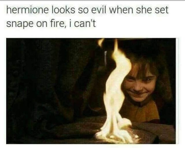 Harry Potter Movie Moments 