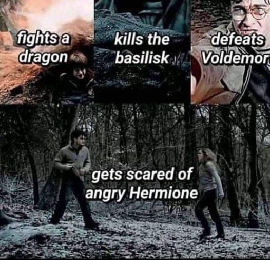 Harry Potter Movie Moments 