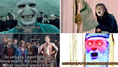 Harry Potter Movie Moments