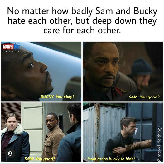 Falcon And The Winter Soldier Memes