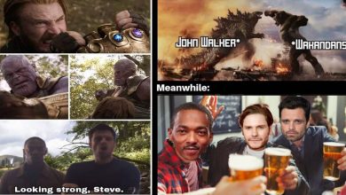 Funniest Falcon And The Winter Soldier Memes