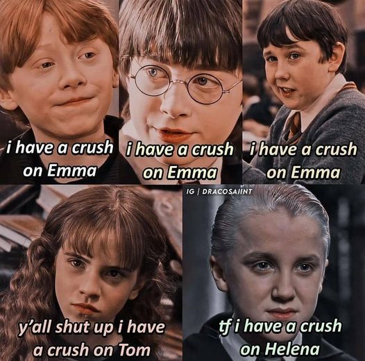 when-fans-roasted-their-favorite-harry-potter-characters
