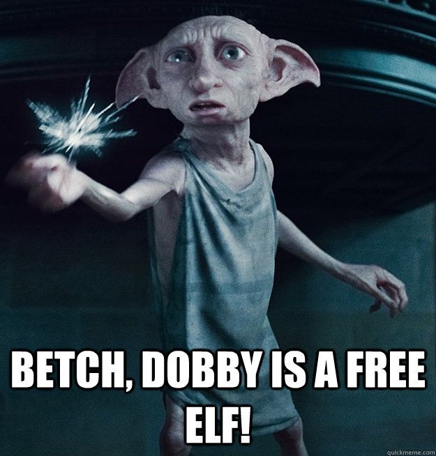 dobby is free