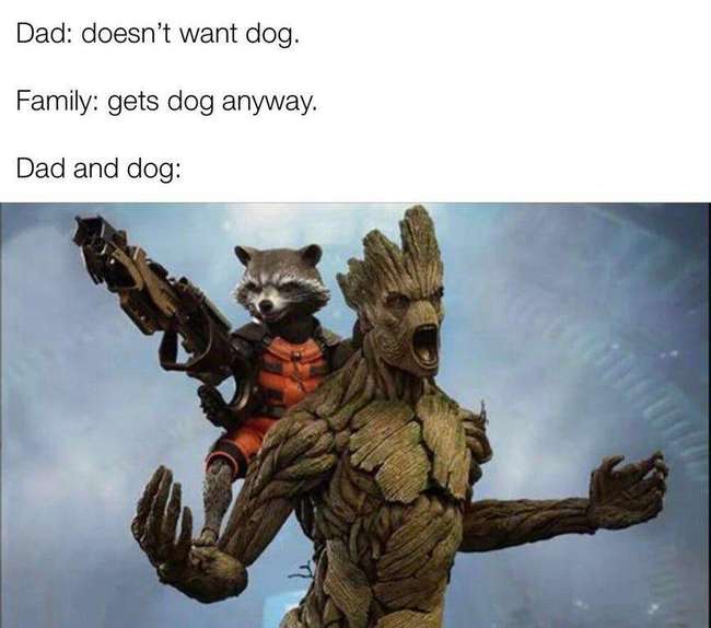 Guardians of The Galaxy memes 