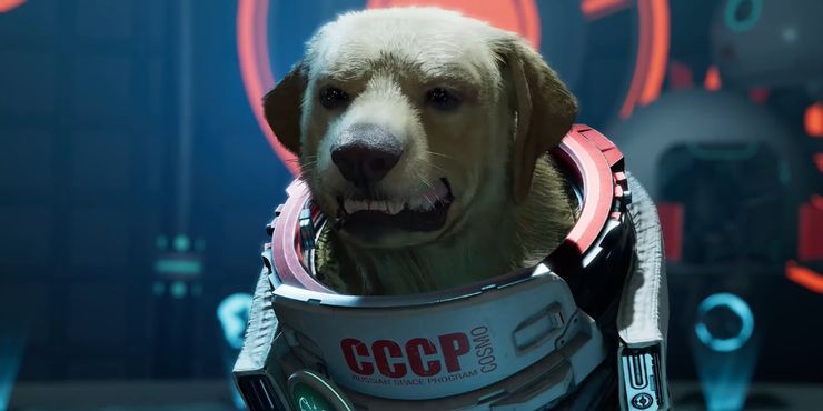 guardians of the galaxy dog shirt
