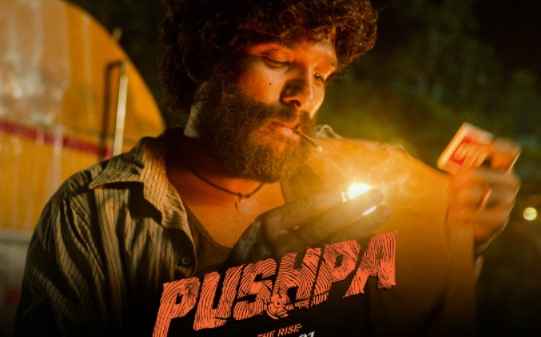 pushpa full movie download in hindi 480p filmywap
