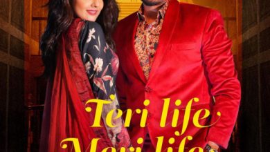 Teri Life Meri Life Song Download Mp3