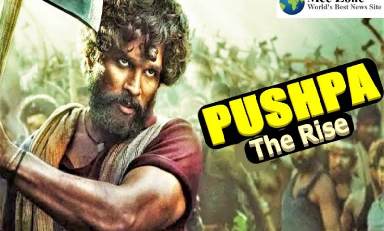 pushpa full movie download in telugu