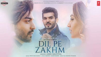 Dil Pe Zakham Khate Hain Mp3 Song Download Pagalworld