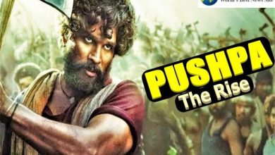 pushpa movie download in hindi pagalworld 1080p