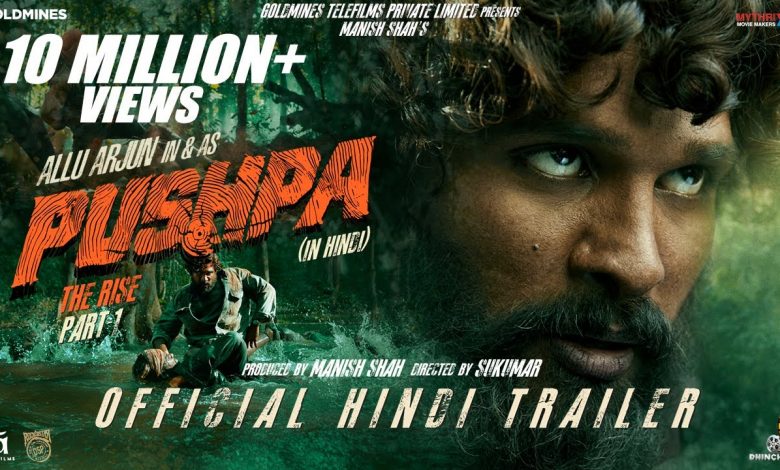 pushpa movie download in hindi filmymeet