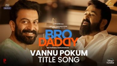 bro daddy full movie download