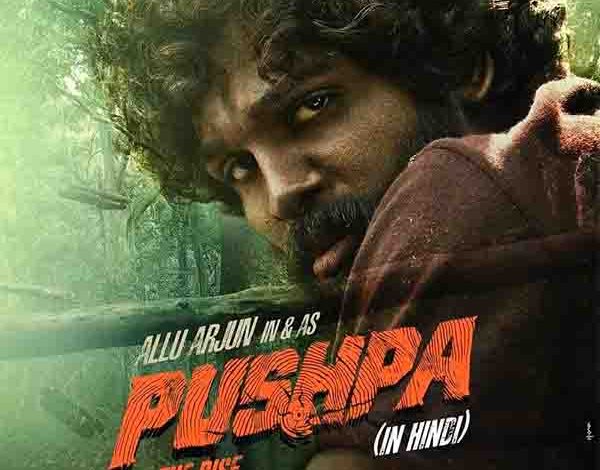 pushpa hindi movie download pagalworld