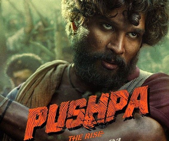 pushpa movie download in hindi mp4moviez