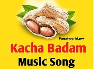 kacha badam mp3 song download pagalworld