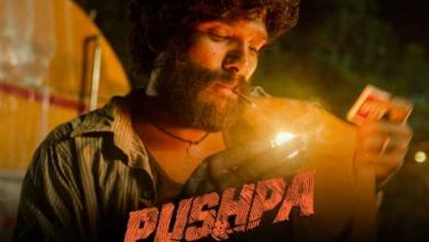 Pushpa Full Movie Download 1filmy4wap