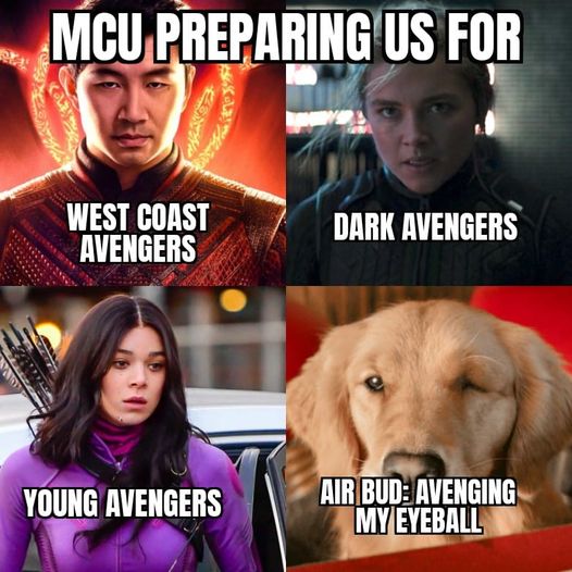 Marvel pet memes 