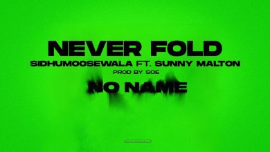 never fold song download