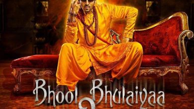 Bhool Bhulaiyaa 2 Movie Download