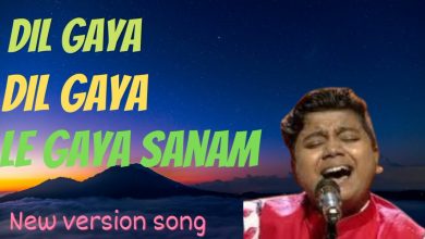 Dil Gaya Dil Gaya Le Gaya Sanam Mp3 Song Download Pagalworld