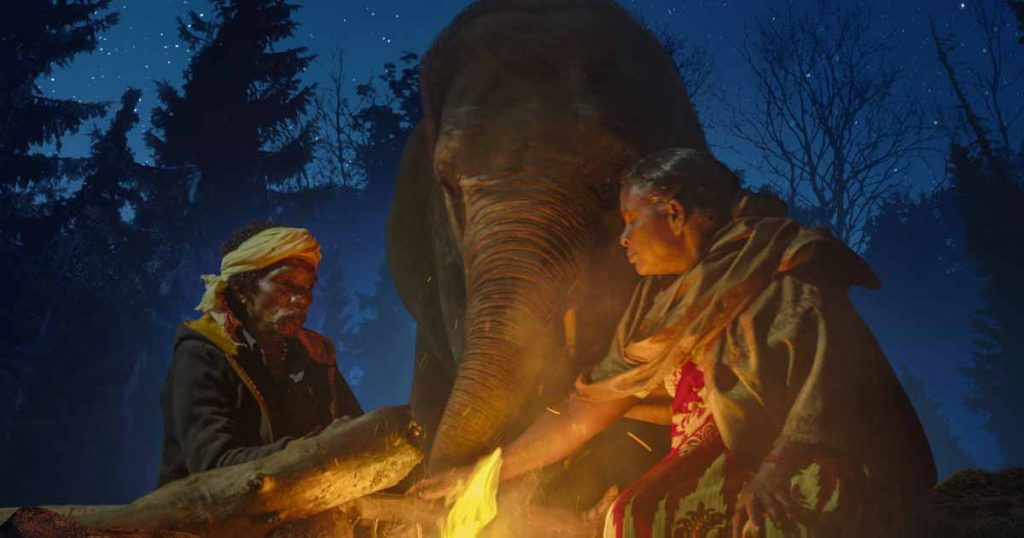 Elephant Whisperer Movie Download